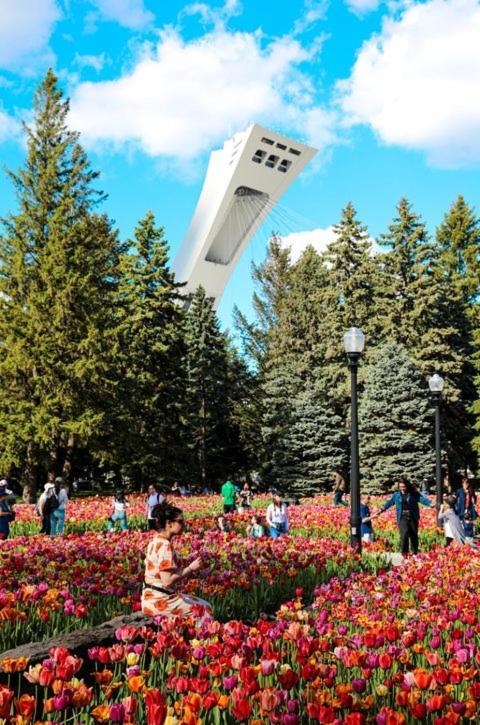 Suite Mont-Royal By Mtlvacationrentals Монреаль Экстерьер фото